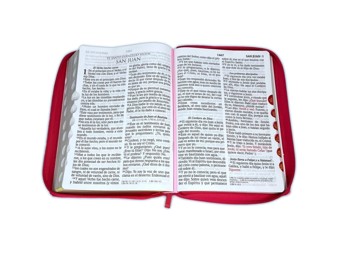 Biblia RV1960 Letra Super Gigante con cierre e índice, piel duotono fucsia - Mujer virtuosa