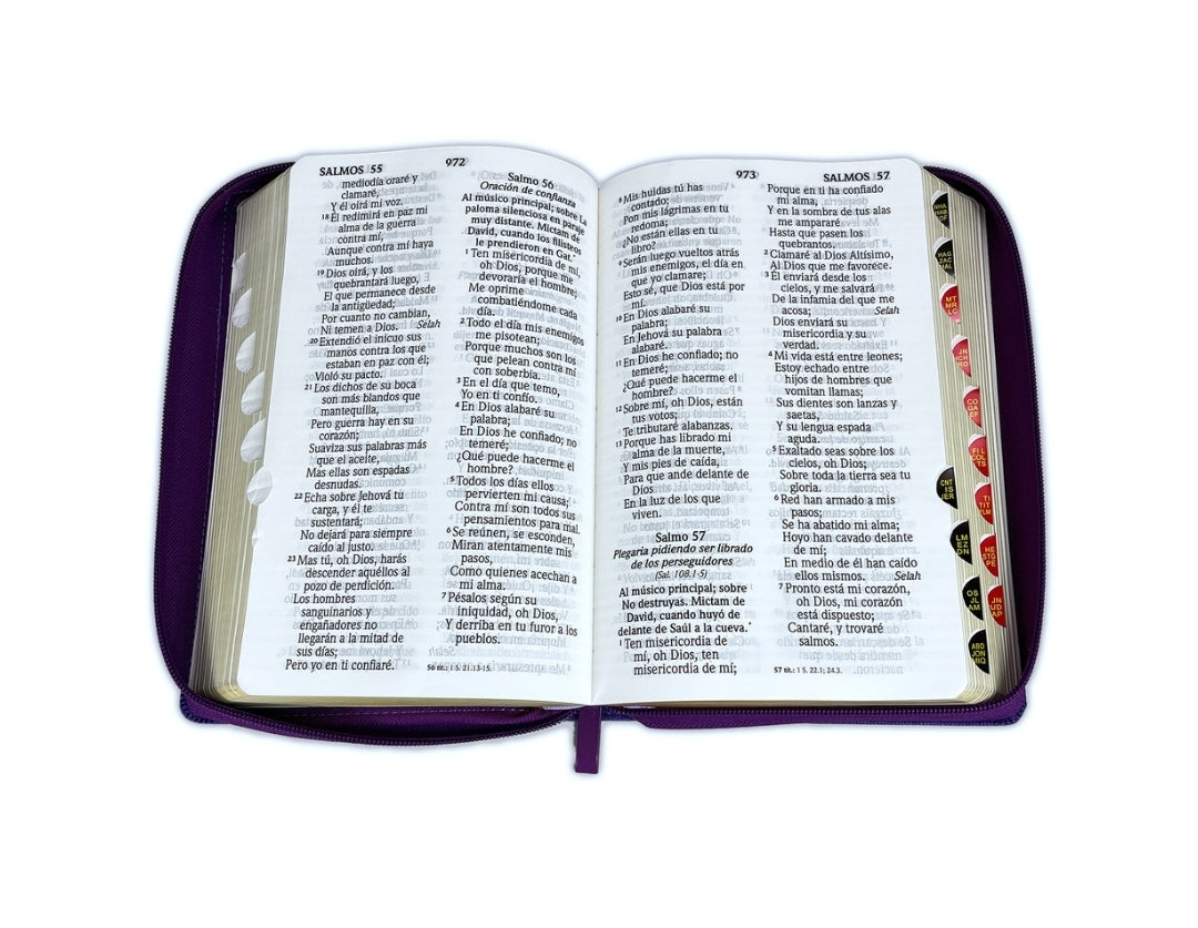 Biblia RV1960 Letra Gigante Manual con cierre e índice, piel morada - Fruto del Espíritu