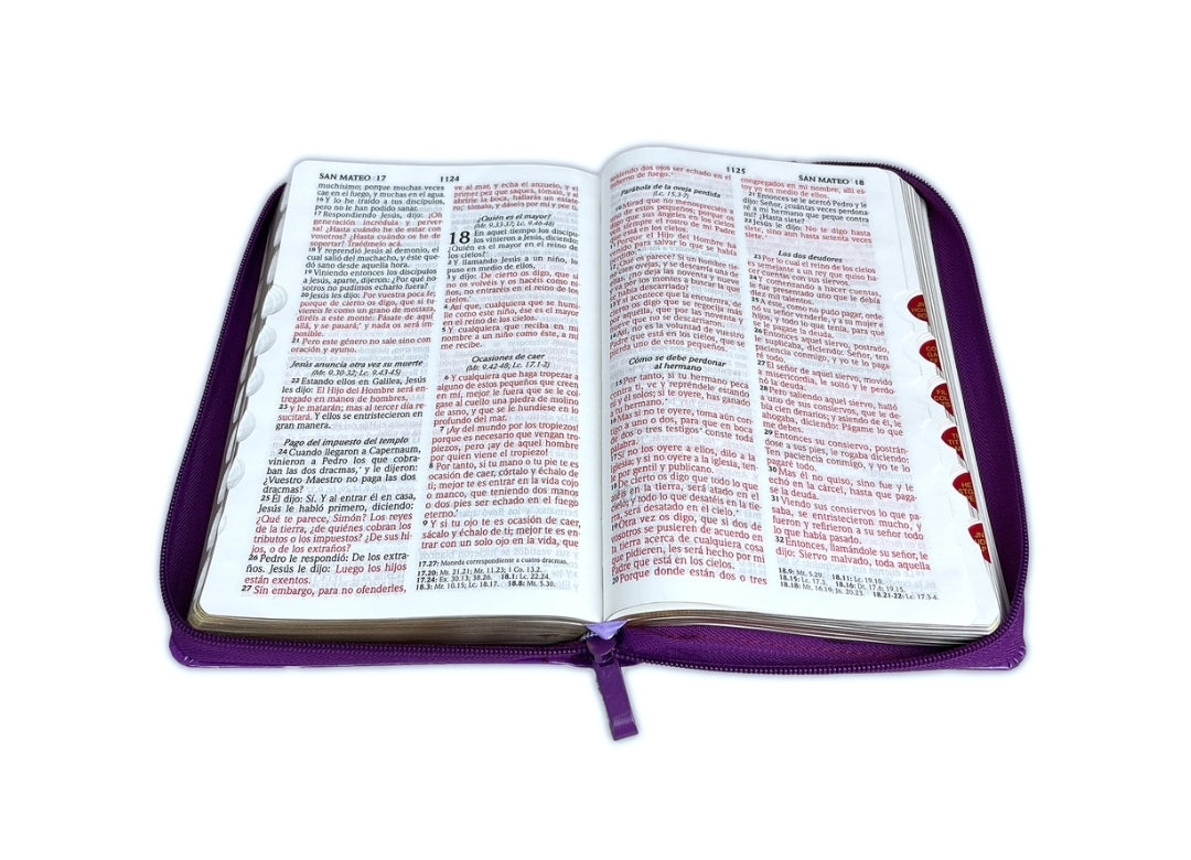 Biblia RV1960 Letra grande con cierre e índice, piel morada.