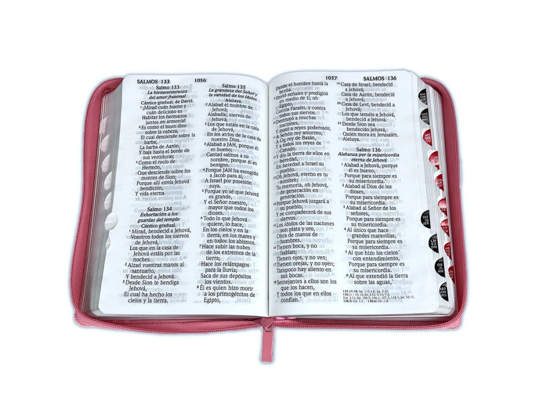 Biblia RV1960 Letra Gigante Manual con cierre e índice, piel rosa - Lámpara es a mis pies