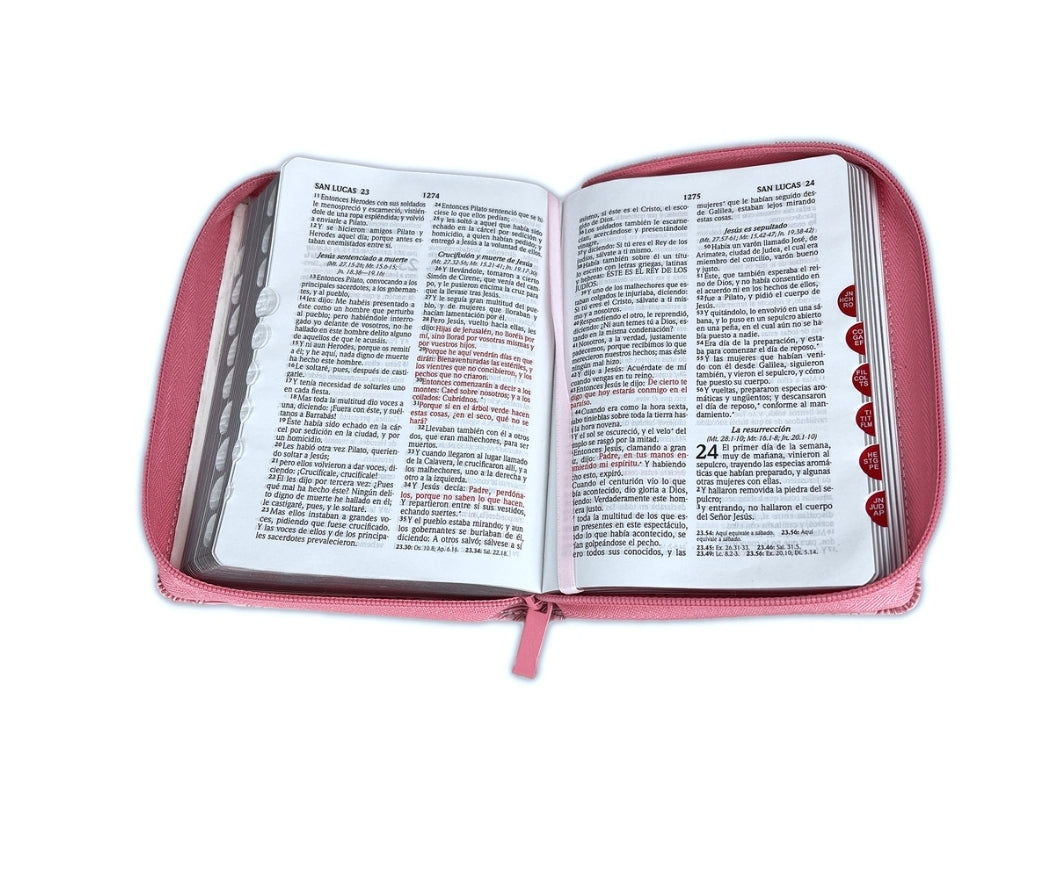 Biblia RV1960 Letra chica "Quinceañera", compacta con cierre e índice, piel duotono rosa y blanco - Engañosa es la gracia