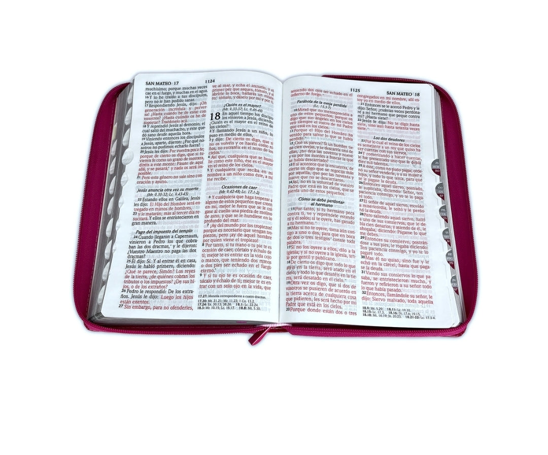 Biblia RV1960 Letra Grande con cierre e índice, tricolor gris-rojo corazón